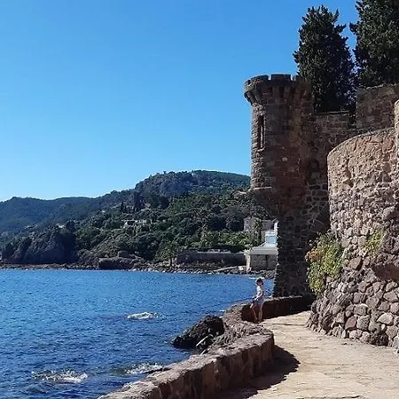 Oasis De Verdure En Centre-ville - Jacuzzi Prive Lejlighed *