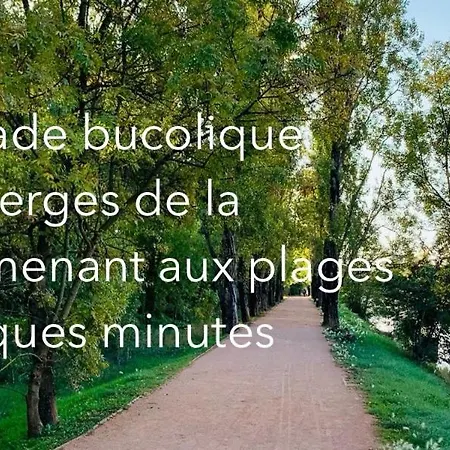 Lejlighed Oasis De Verdure En Centre-ville - Jacuzzi Prive Mandelieu