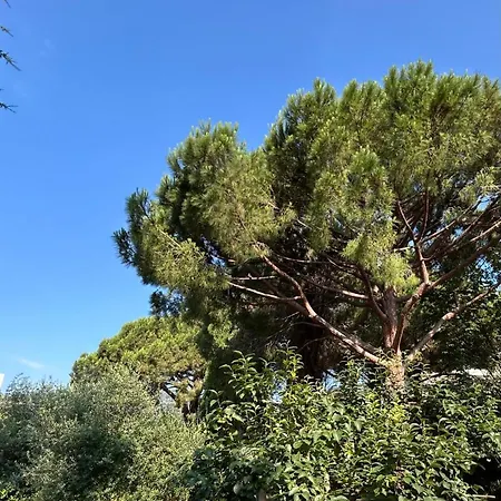 Appartamento Oasis De Verdure En Centre-ville - Jacuzzi Privé *