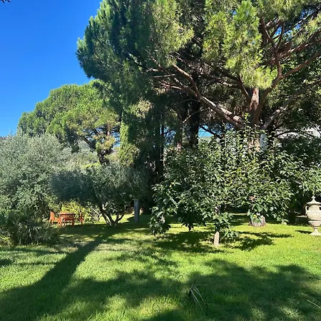 Oasis De Verdure En Centre-ville - Jacuzzi Prive *