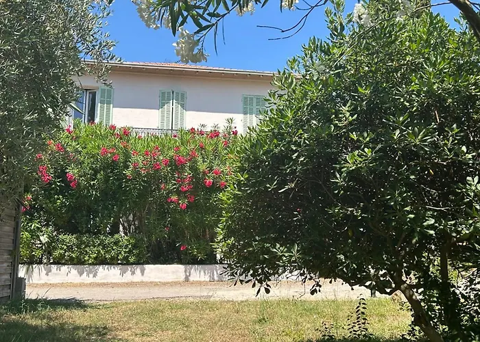 Oasis De Verdure En Centre-ville - Jacuzzi Privé Appartamento