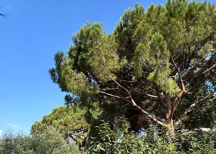 Appartamento Oasis De Verdure En Centre-ville - Jacuzzi Privé *