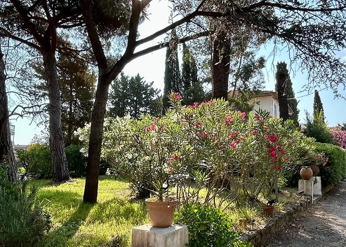 Oasis De Verdure En Centre-ville - Jacuzzi Privé * Mandelieu